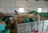 Lắp đặt máy sấy lúa vĩ ngang 10 tấn tại Thái Bình
